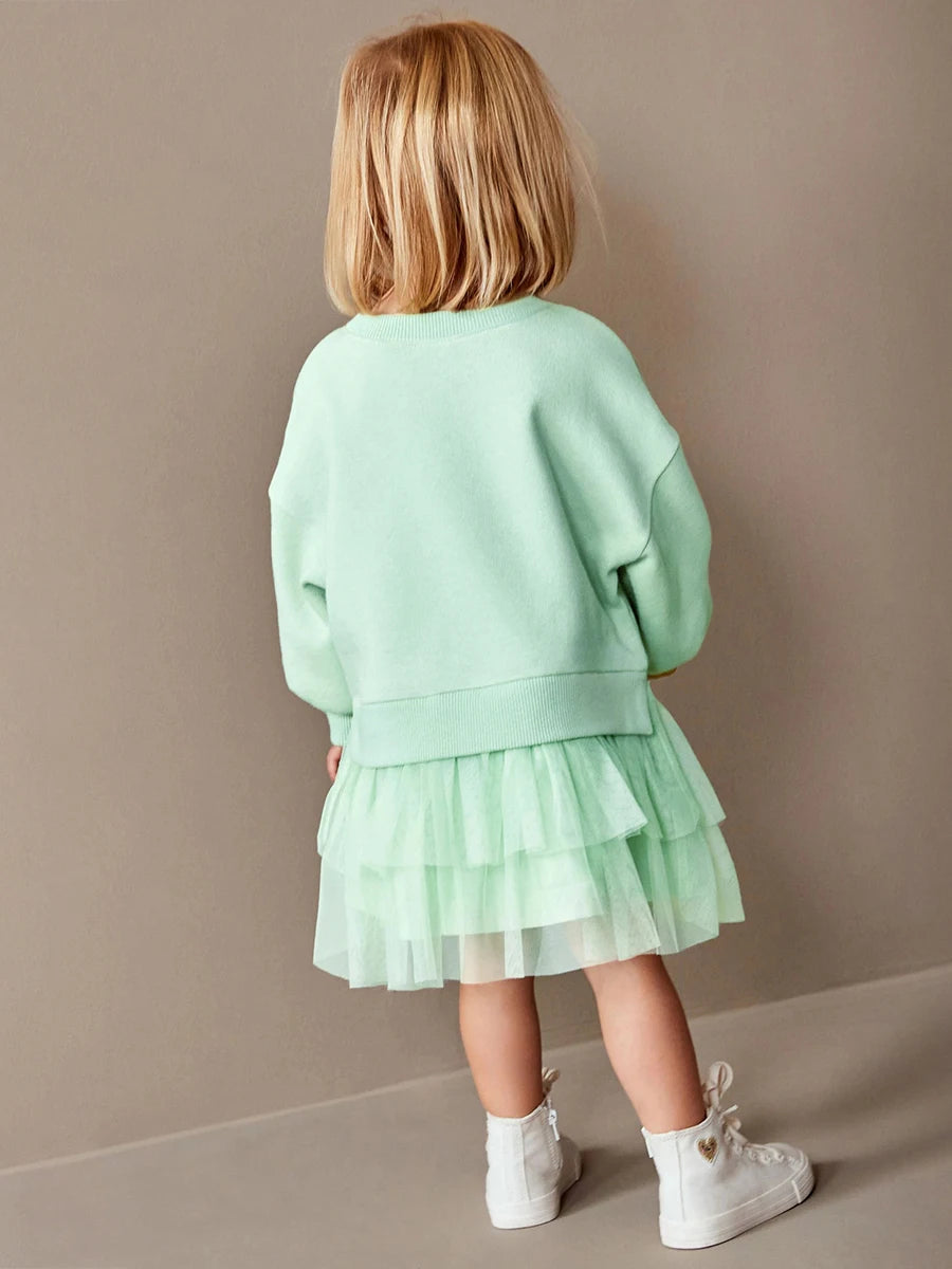 Toddler 2 Piece Sweater And Mesh Skirt Set