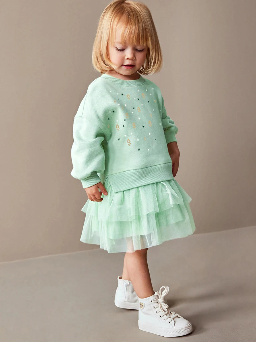 Toddler 2 Piece Sweater And Mesh Skirt Set