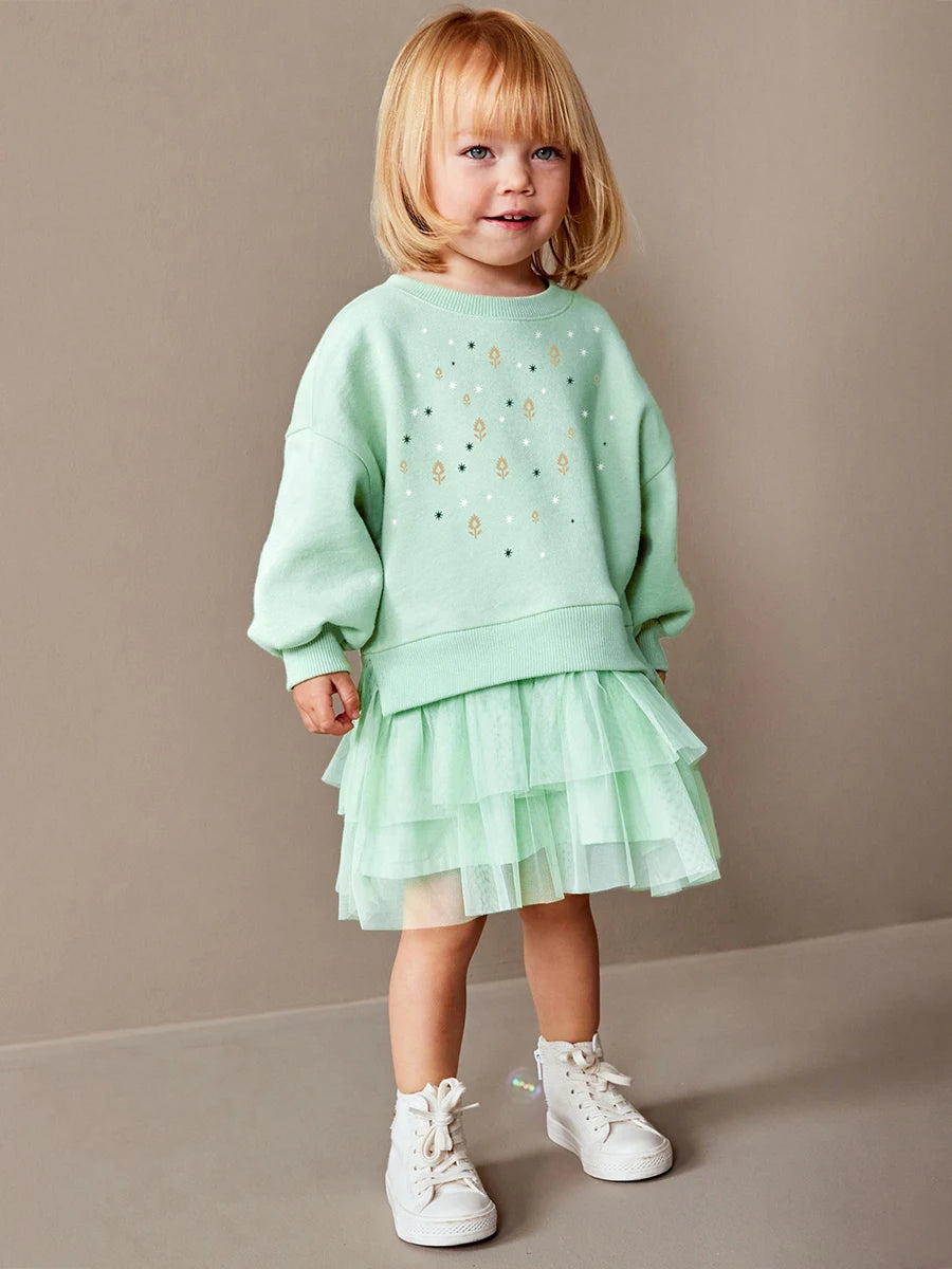 Toddler 2 Piece Sweater And Mesh Skirt Set