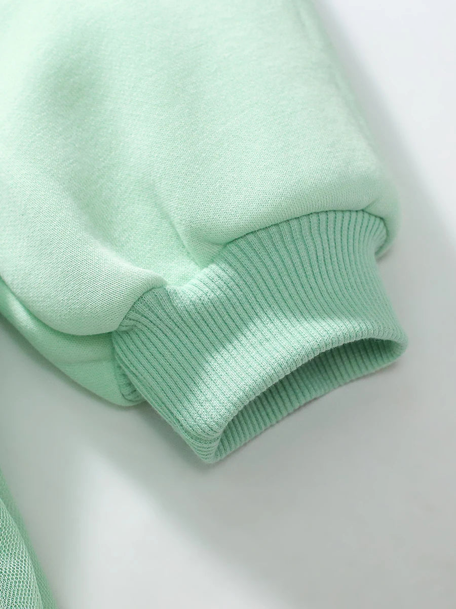 Toddler 2 Piece Sweater And Mesh Skirt Set